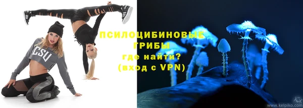 винт Алексеевка