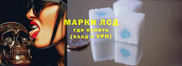 шишки Гусев