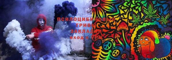 гидра Алексин