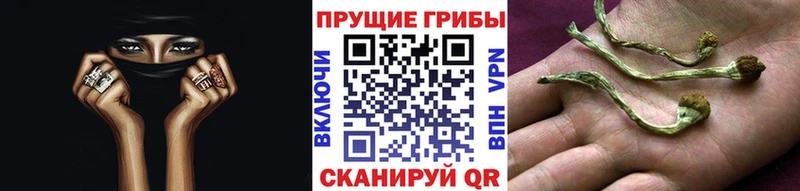 Псилоцибиновые грибы Cubensis  Кемь 